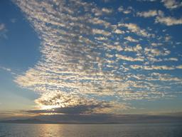 img_4000_medium.jpg