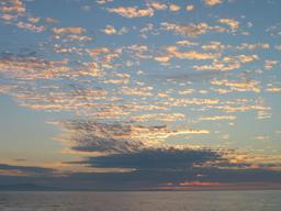 img_4004_medium.jpg