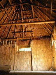 img_4167_medium.jpg