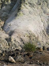 img_4172_medium.jpg