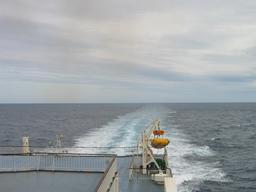 img_4175_medium.jpg