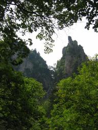 img_4068_medium.jpg