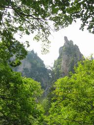 img_4069_medium.jpg