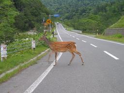 img_4078_medium.jpg