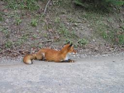img_4079_medium.jpg