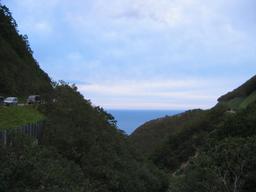 img_4080_medium.jpg