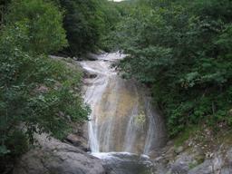img_4081_medium.jpg