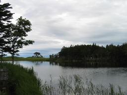 img_4089_medium.jpg
