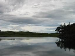 img_4091_medium.jpg