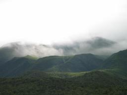img_4092_medium.jpg