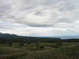 img_4093_medium.jpg