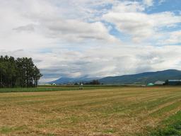 img_4097_medium.jpg