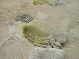 img_4100_medium.jpg