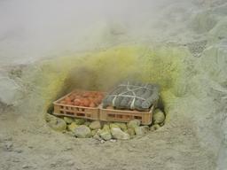 img_4102_medium.jpg