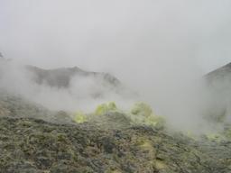 img_4103_medium.jpg