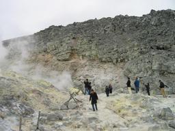 img_4104_medium.jpg