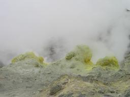 img_4105_medium.jpg