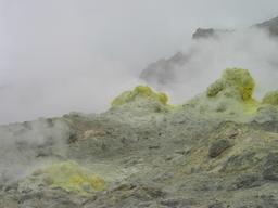 img_4107_medium.jpg