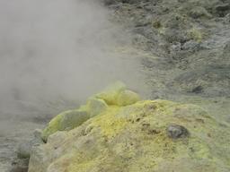 img_4109_medium.jpg