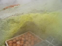 img_4111_medium.jpg