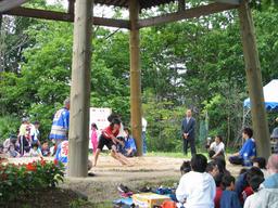 img_4126_medium.jpg