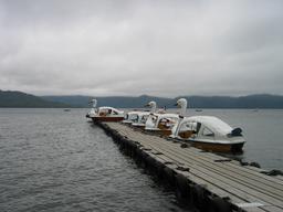 img_4127_medium.jpg