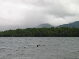 img_4133_medium.jpg