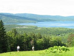 img_4139_medium.jpg