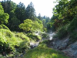 img_4140_medium.jpg