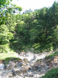 img_4141_medium.jpg